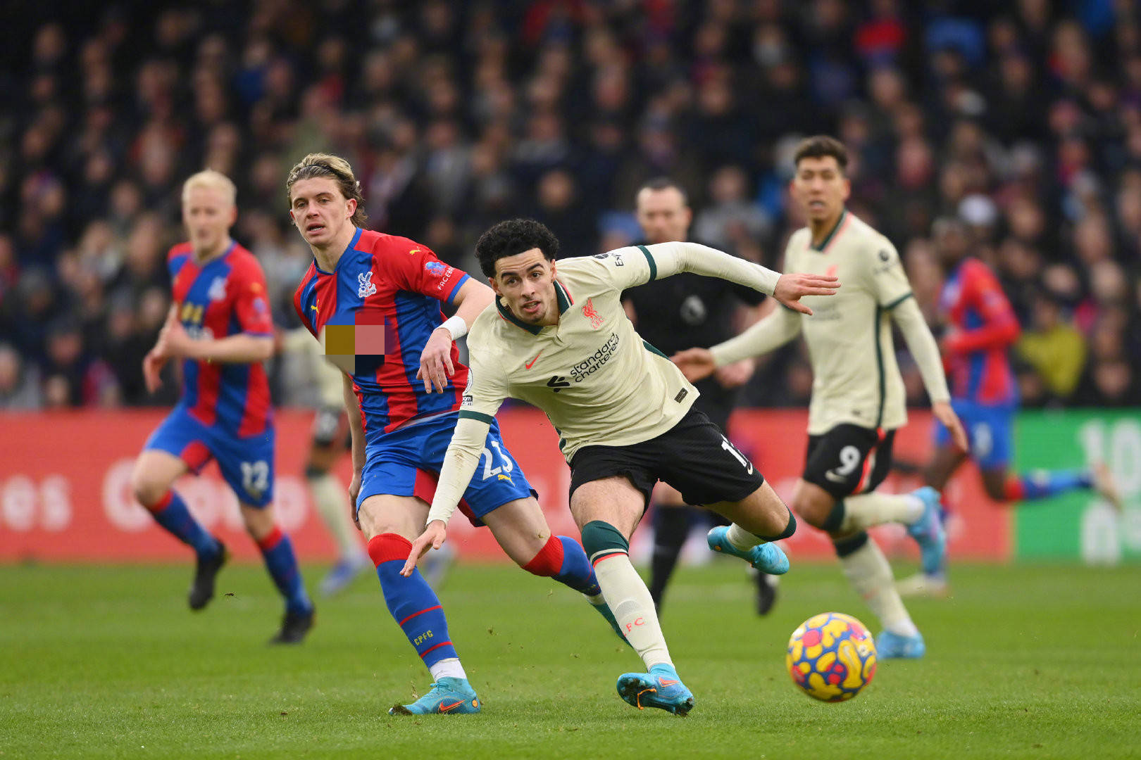 群体在国际 群体在国际